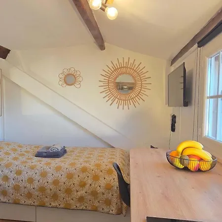 דירה Cosy Avec Vue Sur Montagnes, Proche Gare ניס