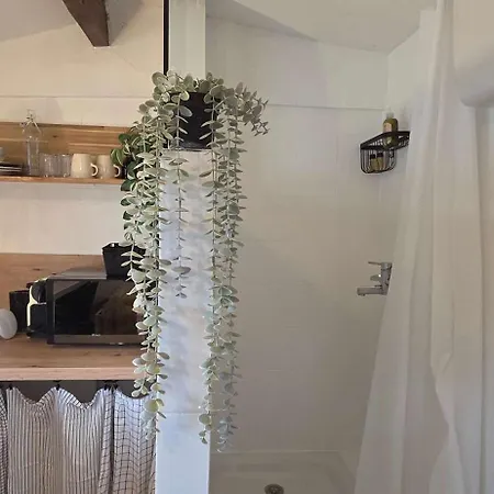 Studio solo cosy, cœur de Nice, gare 3 min
